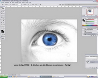 Digital Eyes