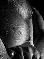_7_D2900.jpg