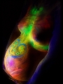 C7_D9882.jpg