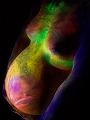 C7_D9882x.jpg