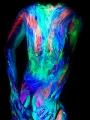 C7_D0026.jpg