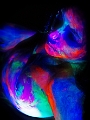 C7_D0060.jpg