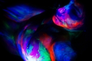 C7_D0061.jpg
