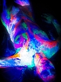 C7_D0062.jpg