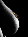 _7_D0388.jpg