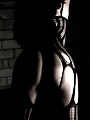 _7_D1611.jpg