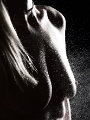 C7_D1236.jpg