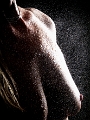 C7_D1238.jpg