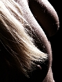 C7_D1241.jpg