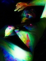 _7_D0416.jpg