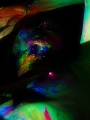 _7_D0417.jpg