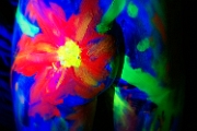 _7_D0481.jpg