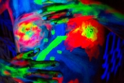 _7_D0498.jpg