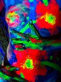 _7_D0499.jpg