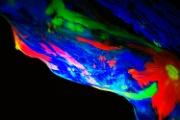 _7_D0543.jpg