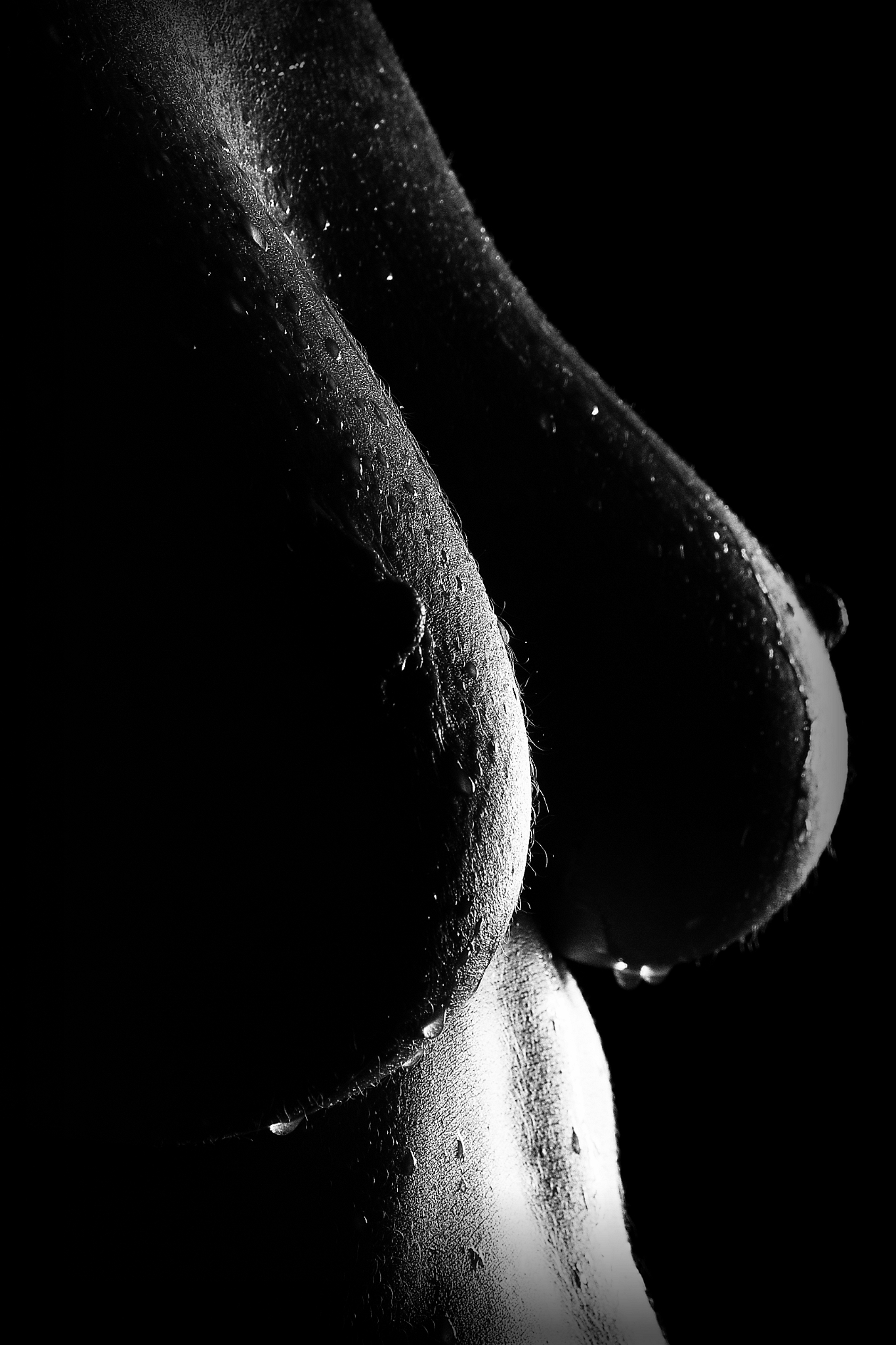 _7_D0393