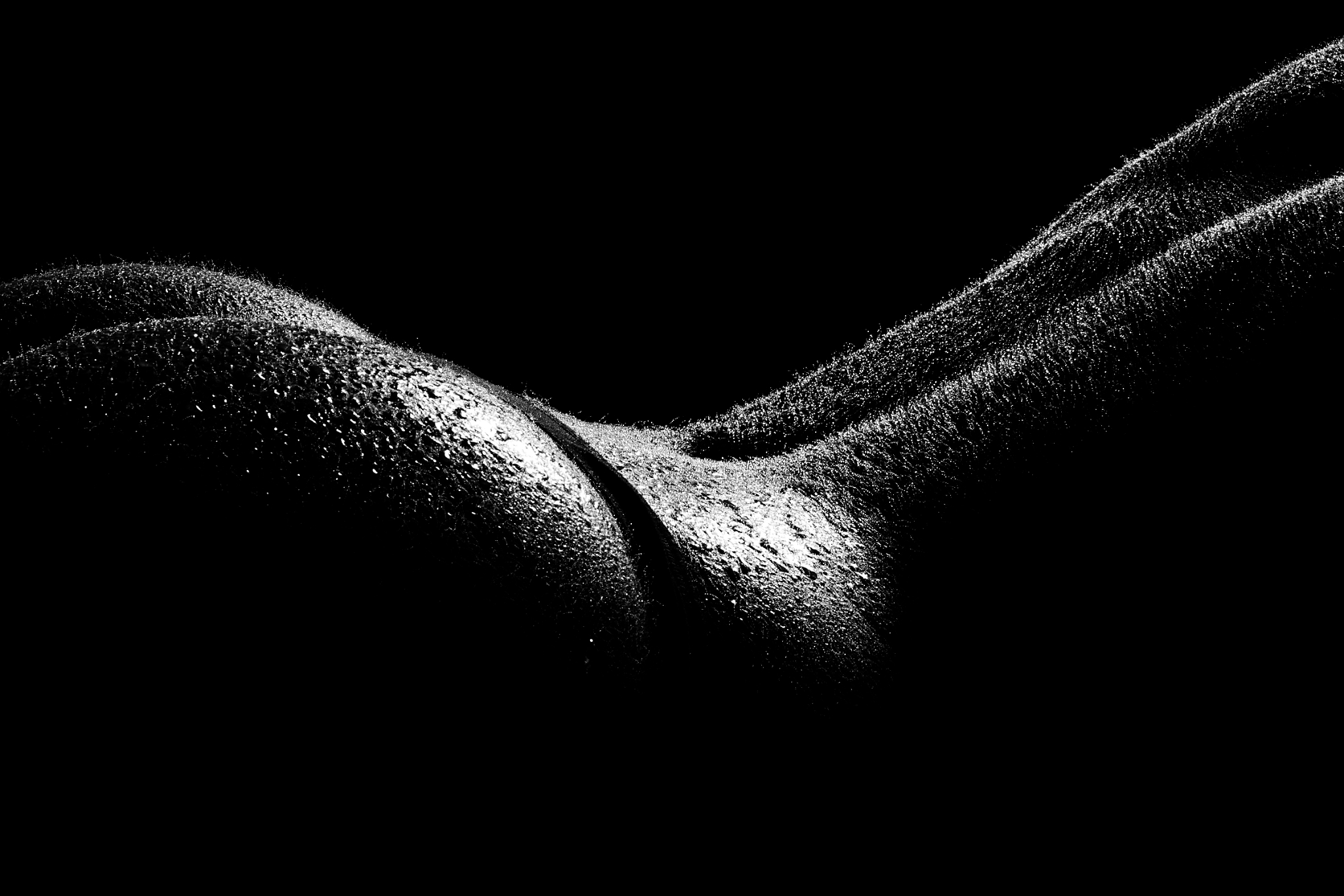 _MG_5596